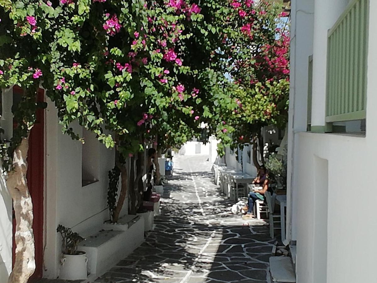 Sunloft-Paros Aparthotel Науса Екстериор снимка