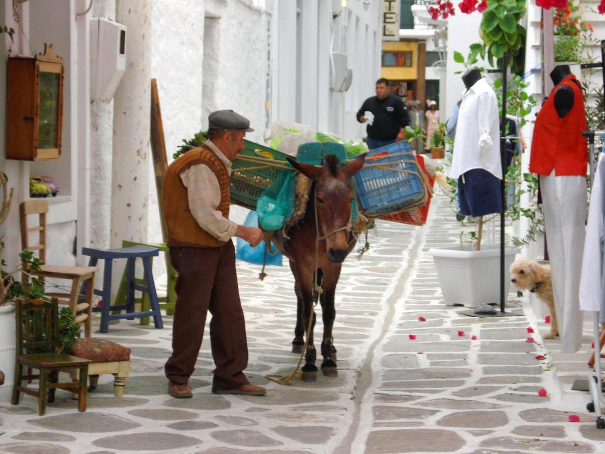Sunloft-Paros Aparthotel Науса Екстериор снимка
