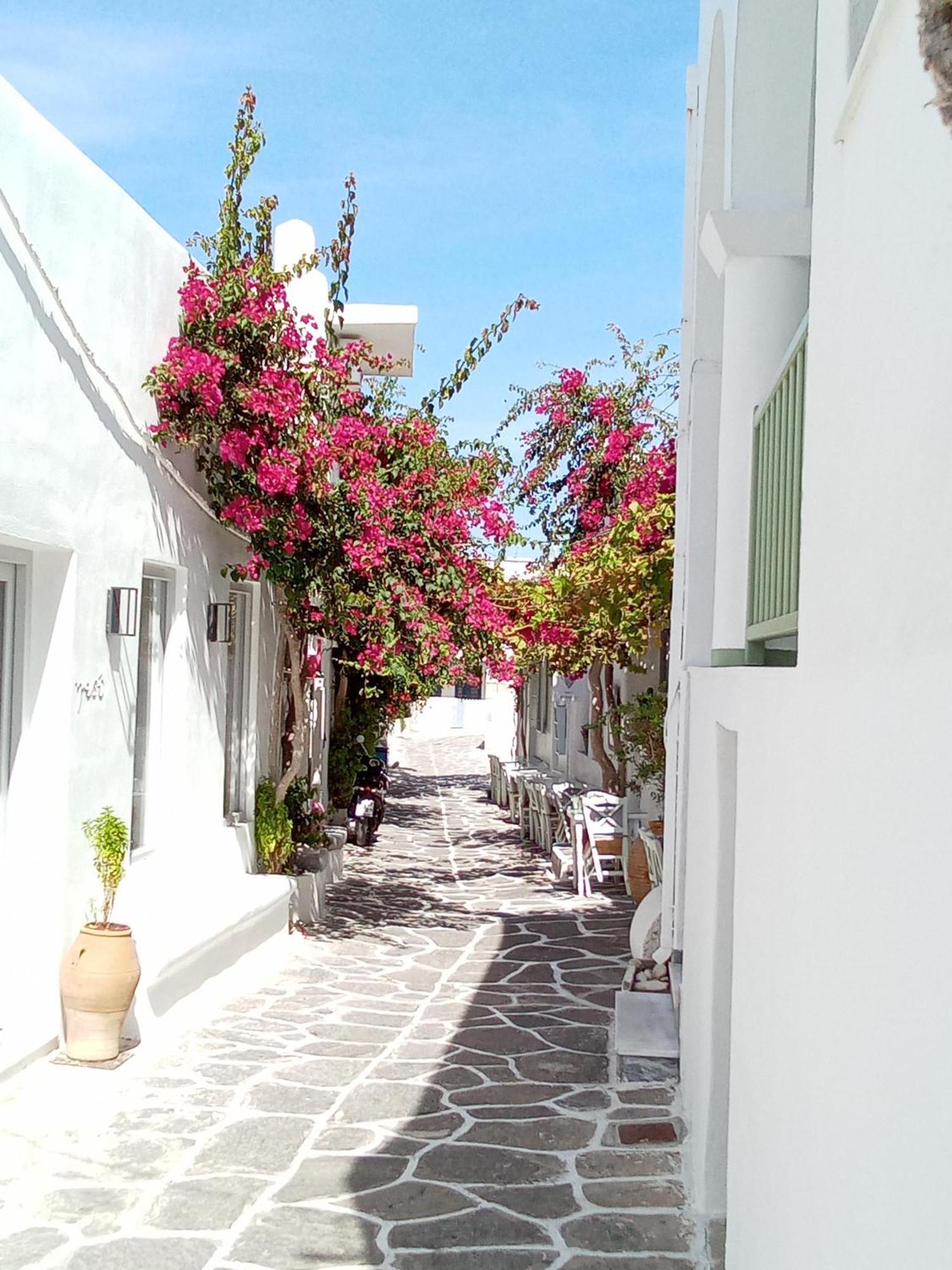 Sunloft-Paros Aparthotel Науса Екстериор снимка
